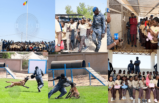 Concept Armée–Nation : des élèves du Groupe scolaire Mame Koto découvrent le Centre cynotechnique de la Gendarmerie