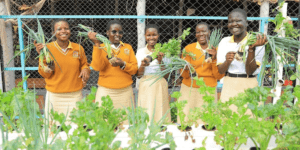 Éducation et agriculture : avec la culture hydroponique, un jardin scolaire innovant améliore l’alimentation à Kampala