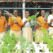 Éducation et agriculture : avec la culture hydroponique, un jardin scolaire innovant améliore l’alimentation à Kampala