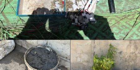 HLM Grand Yoff : la gendarmerie démantèle un dispositif de culture de chanvre indien en réseau domestique