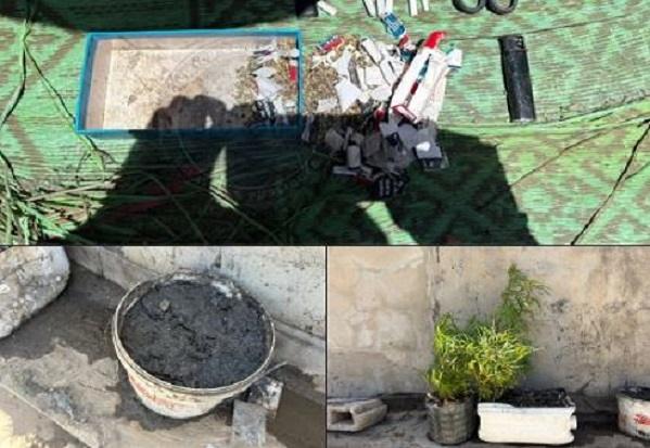 HLM Grand Yoff : la gendarmerie démantèle un dispositif de culture de chanvre indien en réseau domestique