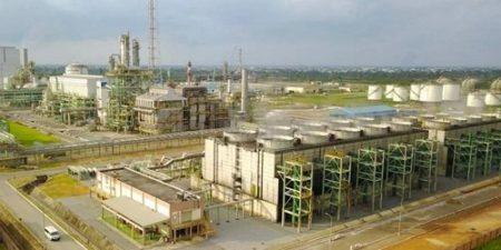 Les ICS un maillon essentiel dans le renforcement de l’attractivité du secteur des intrants agricoles