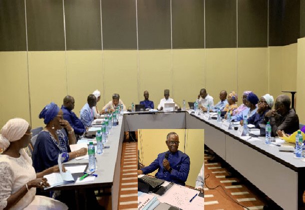 Transformation de l’Afrique : le CELMAD, nouveau laboratoire d’idées, mise sur un leadership innovant et inclusif