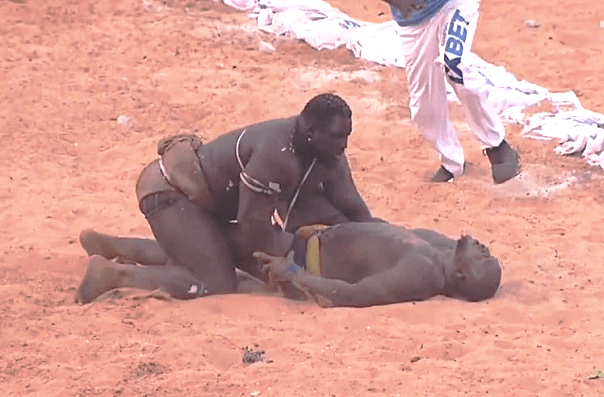 Lutte sénégalaise : Sa Thiès détrône Modou Lo et s’empare de la couronne royale