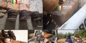 660 bâtons d’explosifs saisis à la frontière malienne: la Police sénégalaise intercepte un important chargement à Diyabougou
