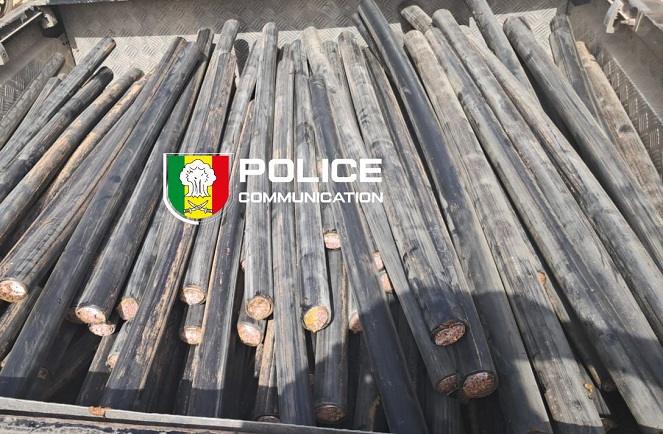 Mbour : la police surprend des voleurs de câbles de télécommunications en pleine opération nocturne
