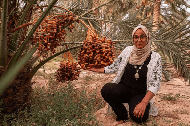 Les dattes du désert : Inspirée par son patrimoine culturel, une Tunisienne crée une activité et ouvre des perspectives à sa communauté