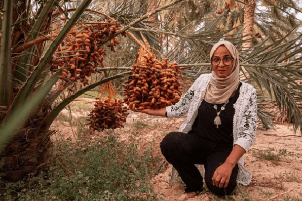 Les dattes du désert : Inspirée par son patrimoine culturel, une Tunisienne crée une activité et ouvre des perspectives à sa communauté