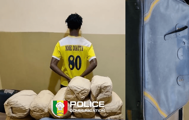 Trafic illicite à Ziguinchor : la Police saisit 12 kg de chanvre indien et interpelle un présumé trafiquant