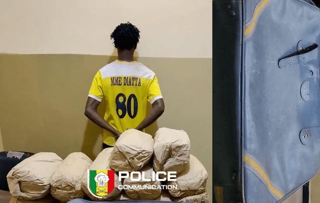 Trafic illicite à Ziguinchor : la Police saisit 12 kg de chanvre indien et interpelle un présumé trafiquant
