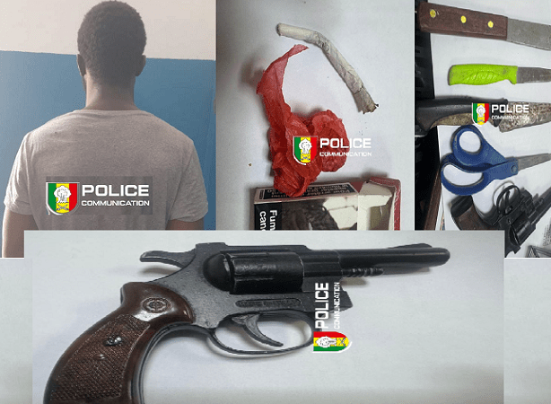 Golf Sud- Cité Nations Unies : un homme arrêté avec un revolver, des couteaux et du chanvre indien
