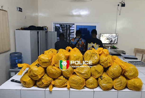 Trafic de drogue : trois suspects arrêtés à Bignona avec 20 kg de chanvre indien