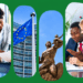 Sénégal-Europe : la CCISE ouvre une nouvelle passerelle économique à Bruxelles